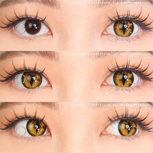 金色惡魔貓眼（新款）Sweety Crazy Gold Demon Eye / Cat Eye (New)（一片裝）
