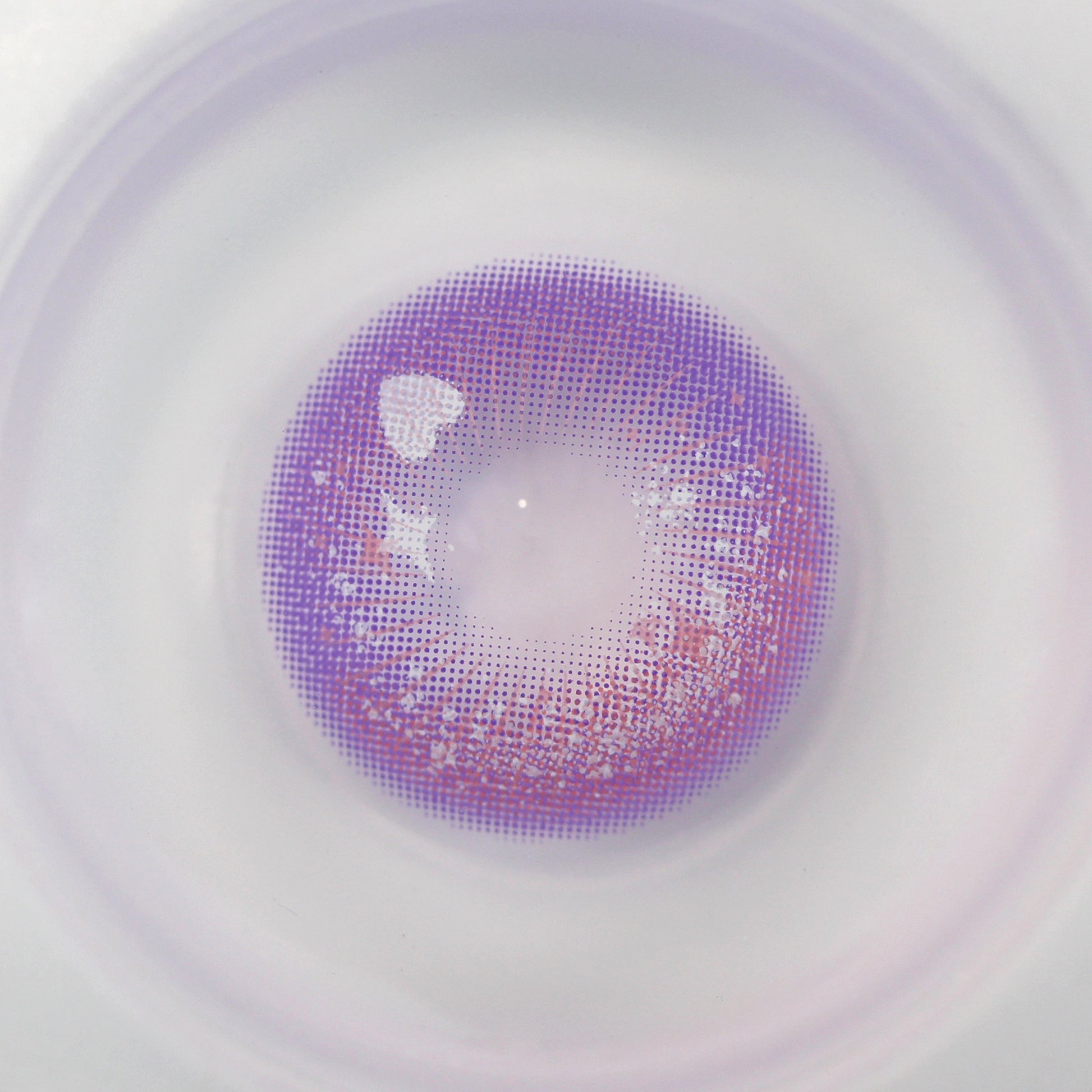 Sweety Crazy Candy Pop Violet (1 lens/pack)-Colored Contacts-UNIQSO