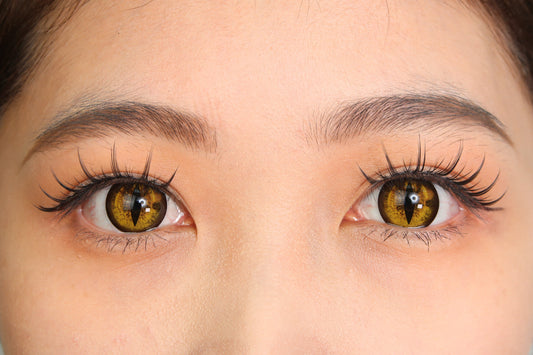 Sweety Crazy Gold Demon Eye / Cat Eye (New) (1 lens/pack)-Crazy Contacts-UNIQSO
