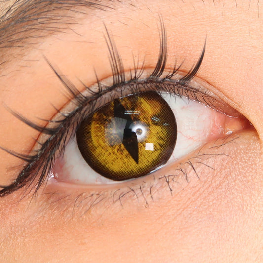 Sweety Crazy Gold Demon Eye / Cat Eye (New) (1 lens/pack)-Crazy Contacts-UNIQSO