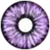 Sweety Violet Sclera Contacts - Elf Purple (1 lens/pack)-Sclera Contacts-UNIQSO